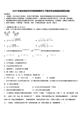 2025年湖北省武汉市市新观察数学七下期末学业质量监测模拟试题含解析