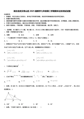 湖北省武汉青山区2025届数学七年级第二学期期末达标测试试题含解析