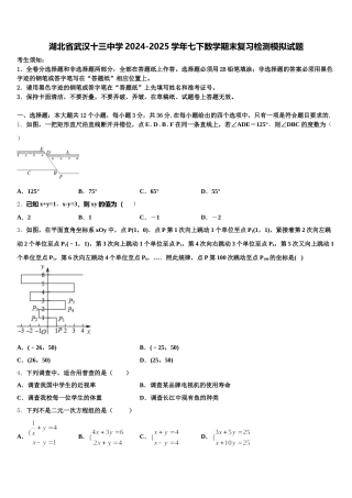 湖北省武汉十三中学2024-2025学年七下数学期末复习检测模拟试题含解析
