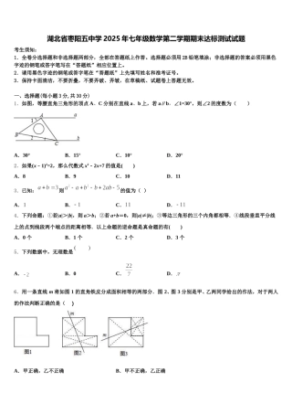 湖北省枣阳五中学2025年七年级数学第二学期期末达标测试试题含解析