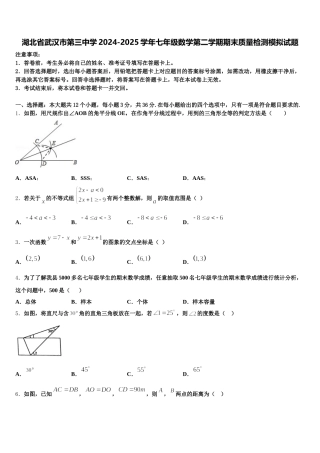 湖北省武汉市第三中学2024-2025学年七年级数学第二学期期末质量检测模拟试题含解析