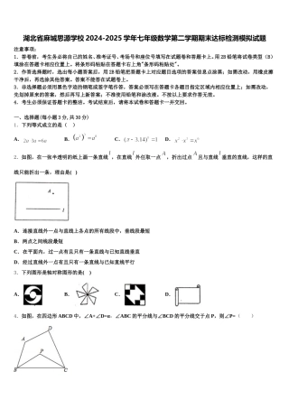 湖北省麻城思源学校2024-2025学年七年级数学第二学期期末达标检测模拟试题含解析