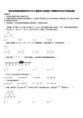 湖北省武昌区粮道街中学2025届数学七年级第二学期期末学业水平测试试题含解析