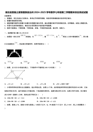 湖北省恩施土家族苗族自治州2024-2025学年数学七年级第二学期期末综合测试试题含解析