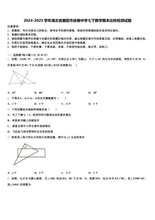 2024-2025学年湖北省襄阳市徐寨中学七下数学期末达标检测试题含解析