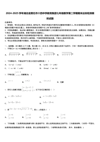 2024-2025学年湖北省黄石市十四中学教育集团七年级数学第二学期期末达标检测模拟试题含解析