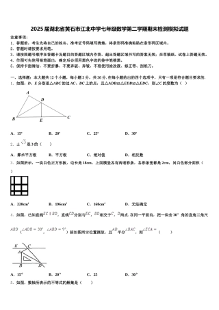 2025届湖北省黄石市江北中学七年级数学第二学期期末检测模拟试题含解析