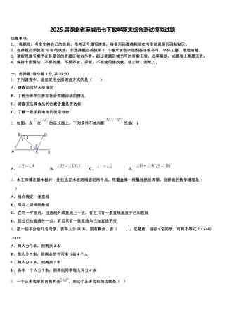 2025届湖北省麻城市七下数学期末综合测试模拟试题含解析