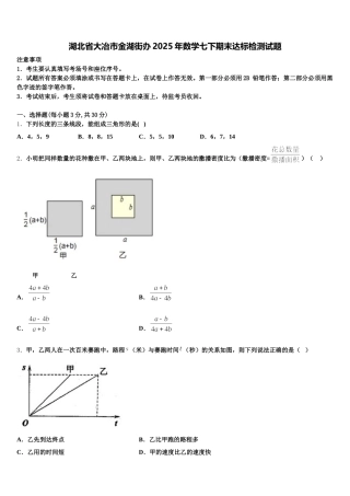 湖北省大冶市金湖街办2025年数学七下期末达标检测试题含解析
