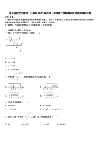 湖北省武汉市第四十九中学2025年数学七年级第二学期期末复习检测模拟试题含解析