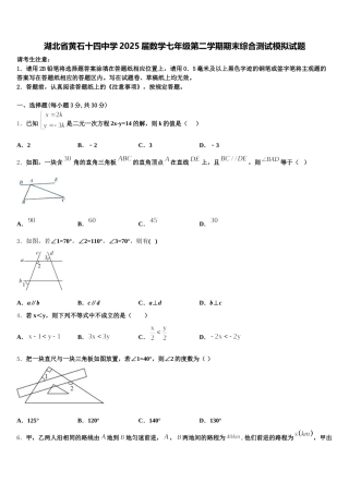 湖北省黄石十四中学2025届数学七年级第二学期期末综合测试模拟试题含解析