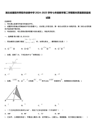 湖北省襄阳市枣阳市徐寨中学2024-2025学年七年级数学第二学期期末质量跟踪监视试题含解析