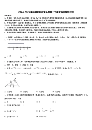 2024-2025学年湖北利川文斗数学七下期末监测模拟试题含解析