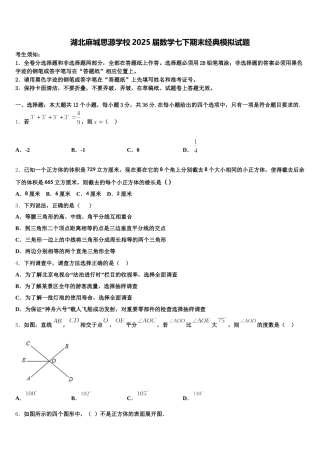 湖北麻城思源学校2025届数学七下期末经典模拟试题含解析