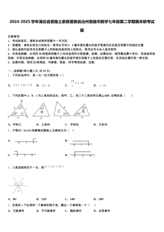 2024-2025学年湖北省恩施土家族苗族自治州恩施市数学七年级第二学期期末联考试题含解析
