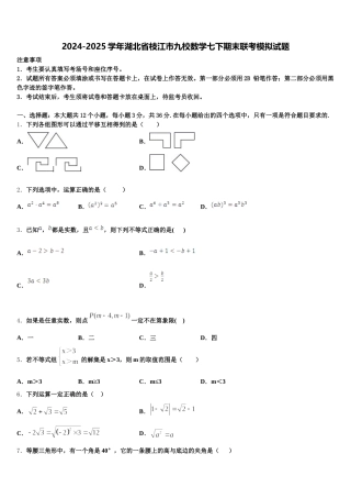 2024-2025学年湖北省枝江市九校数学七下期末联考模拟试题含解析