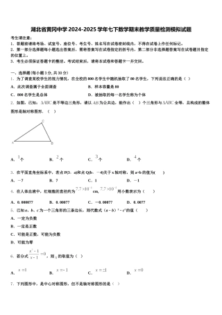 湖北省黄冈中学2024-2025学年七下数学期末教学质量检测模拟试题含解析