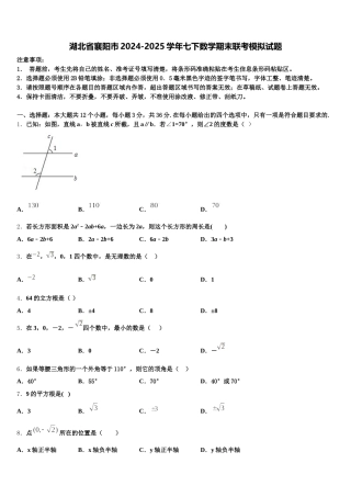 湖北省襄阳市2024-2025学年七下数学期末联考模拟试题含解析