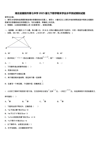 湖北省襄阳市第七中学2025届七下数学期末学业水平测试模拟试题含解析