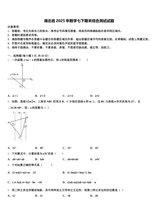 湖北省2025年数学七下期末综合测试试题含解析
