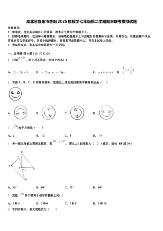 湖北省襄阳市枣阳2025届数学七年级第二学期期末联考模拟试题含解析