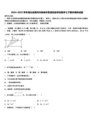 2024-2025学年湖北省黄冈市麻城市思源实验学校数学七下期末调研试题含解析
