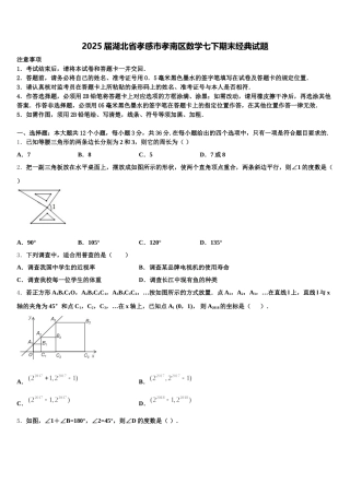 2025届湖北省孝感市孝南区数学七下期末经典试题含解析