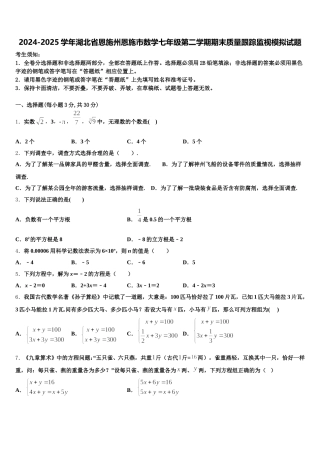 2024-2025学年湖北省恩施州恩施市数学七年级第二学期期末质量跟踪监视模拟试题含解析