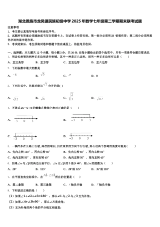 湖北恩施市龙凤镇民族初级中学2025年数学七年级第二学期期末联考试题含解析