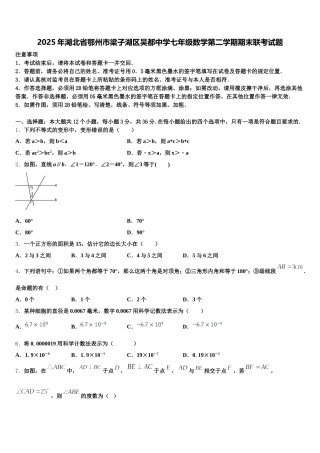 2025年湖北省鄂州市梁子湖区吴都中学七年级数学第二学期期末联考试题含解析