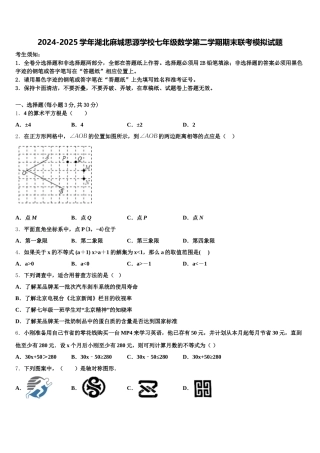 2024-2025学年湖北麻城思源学校七年级数学第二学期期末联考模拟试题含解析
