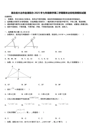 湖北省大冶市金湖街办2025年七年级数学第二学期期末达标检测模拟试题含解析