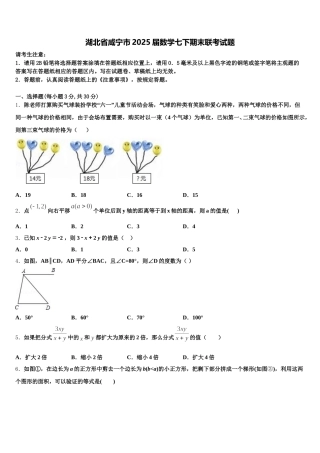 湖北省咸宁市2025届数学七下期末联考试题含解析