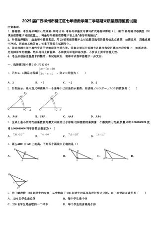 2025届广西柳州市柳江区七年级数学第二学期期末质量跟踪监视试题含解析