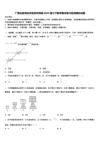 广西北部湾经济区四市同城2025届七下数学期末复习检测模拟试题含解析
