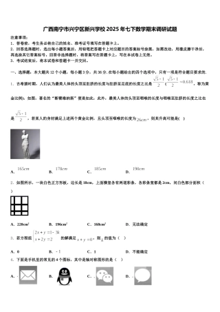 广西南宁市兴宁区新兴学校2025年七下数学期末调研试题含解析