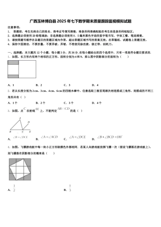 广西玉林博白县2025年七下数学期末质量跟踪监视模拟试题含解析