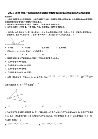 2024-2025学年广西北部湾四市同城联考数学七年级第二学期期末达标检测试题含解析