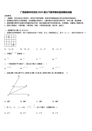 广西省柳州市名校2025届七下数学期末监测模拟试题含解析