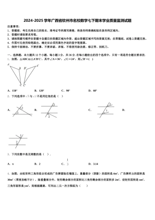 2024-2025学年广西省钦州市名校数学七下期末学业质量监测试题含解析