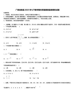 广西龙胜县2025年七下数学期末质量跟踪监视模拟试题含解析