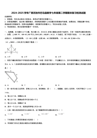 2024-2025学年广西河池市巴马县数学七年级第二学期期末复习检测试题含解析