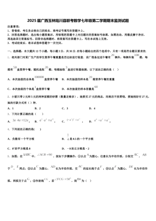 2025届广西玉林陆川县联考数学七年级第二学期期末监测试题含解析