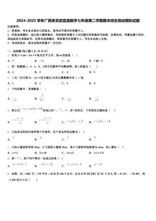 2024-2025学年广西来宾武宣县数学七年级第二学期期末综合测试模拟试题含解析