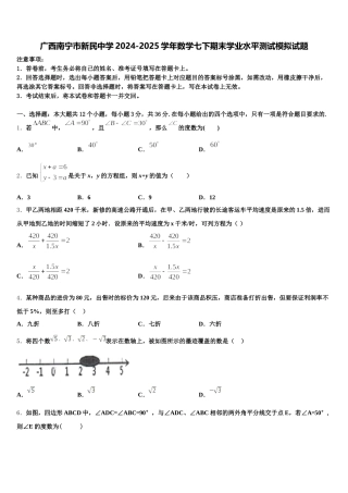 广西南宁市新民中学2024-2025学年数学七下期末学业水平测试模拟试题含解析