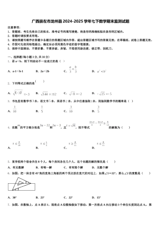 广西崇左市龙州县2024-2025学年七下数学期末监测试题含解析