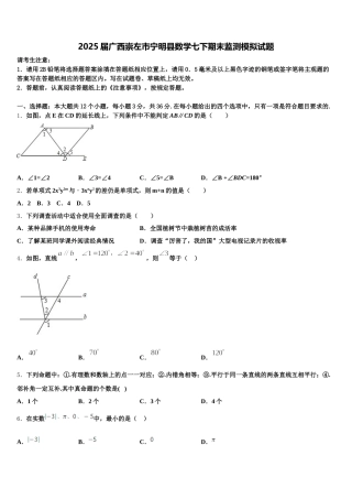 2025届广西崇左市宁明县数学七下期末监测模拟试题含解析