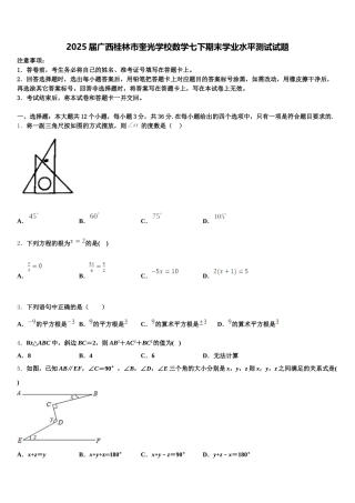 2025届广西桂林市奎光学校数学七下期末学业水平测试试题含解析