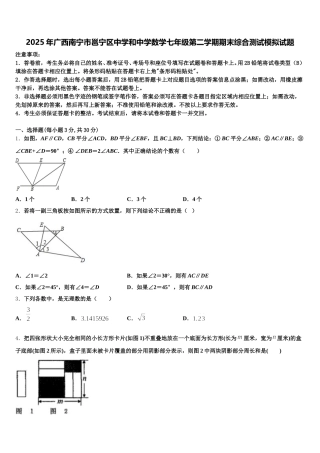 2025年广西南宁市邕宁区中学和中学数学七年级第二学期期末综合测试模拟试题含解析
