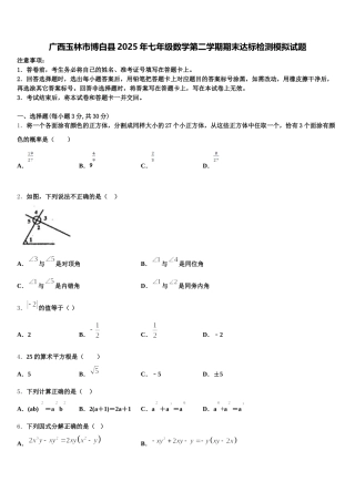 广西玉林市博白县2025年七年级数学第二学期期末达标检测模拟试题含解析